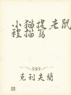 小猫捉老鼠的过程描写