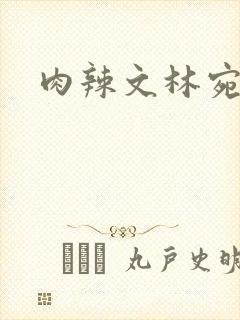 肉辣文林宛宛封面