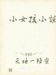 小女孩小说封面