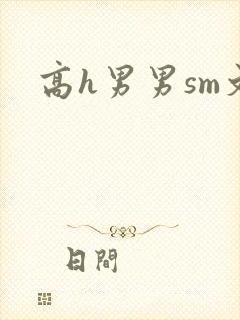高h男男sm文
