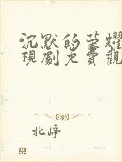 沉默的荣耀 电视剧免费观看全集