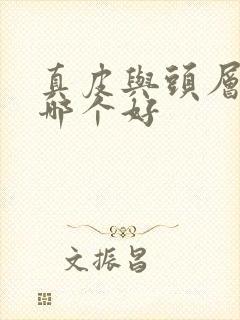 真皮与头层牛皮哪个好