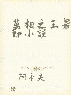 万相之王最新章节小说