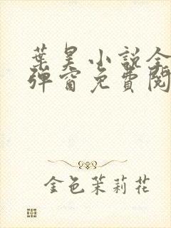 叶昊小说全文无弹窗免费阅读