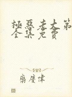 极恶老大第二季全集免费封面