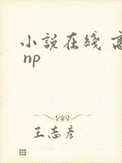 小说在线 高h np