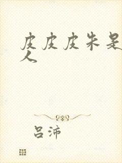 皮皮皮朱是哪里人