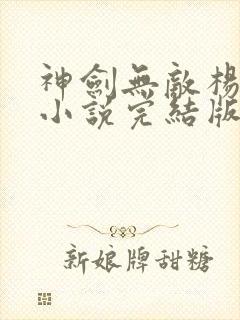 神剑无敌杨小天小说完结版