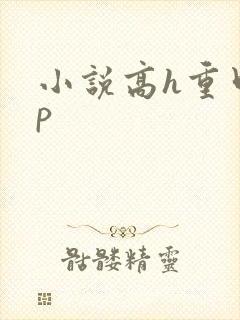 小说高h重口np