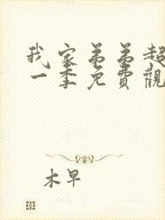 我家弟弟超棒第一季免费观看动漫封面