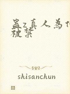 蛊z真人为什么被禁封面