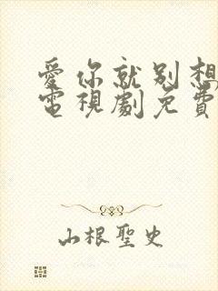 爱你就别想太多电视剧免费观看全集