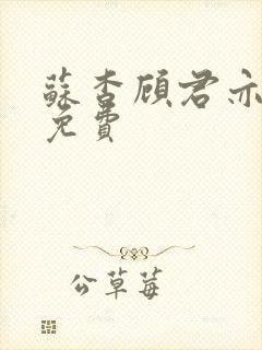 苏杳顾君亦全文免费