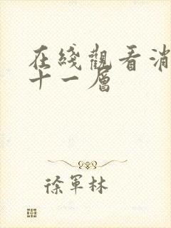 在线观看消失的十一层