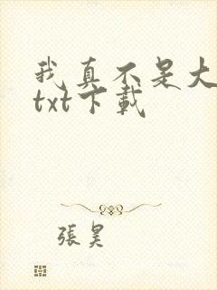 我真不是大佬 txt下载封面