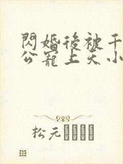 闪婚后被千亿老公宠上天小说