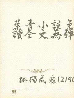 叶青小说免费阅读全文无弹窗封面