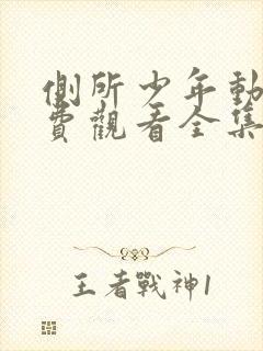 侧所少年动漫免费观看全集