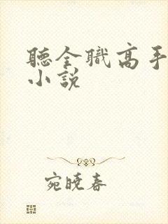 听全职高手有声小说封面