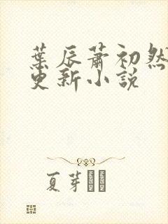 叶辰萧初然最快更新小说