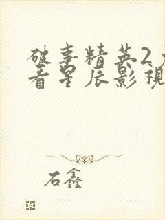 破事精英2免费看星辰影视