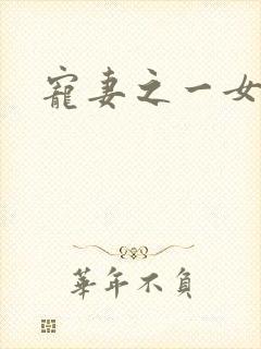 宠妻之一女二夫