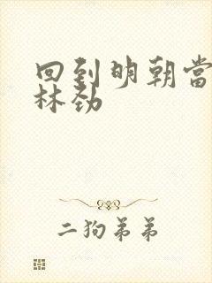 回到明朝当王爷林劲