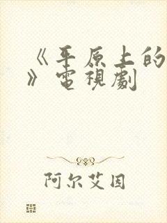 《平原上的摩西》电视剧封面