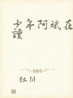 少年阿斌在线阅读封面