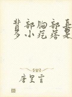 背部胸部长了很多小疙瘩是怎么回事