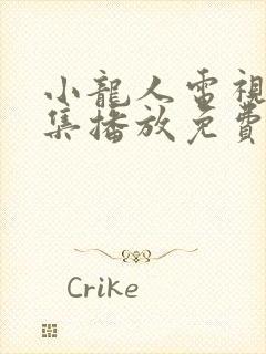 小龙人电视剧全集播放免费观看