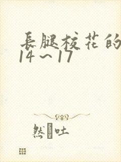 长腿校花的呻吟14～17