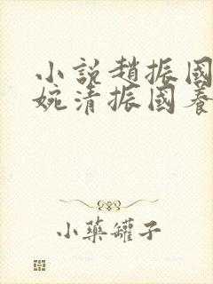 小说赵振国,宋婉清振国养家