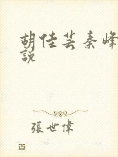 胡佳芸秦峰的小说封面