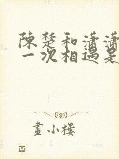 陈楚和潇潇的第一次相遇是第几章封面