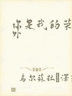 你是我的荣耀番外