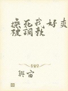 操死我好爽主人被调教封面