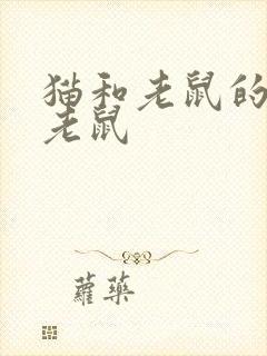 猫和老鼠的猫和老鼠
