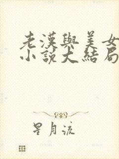 老汉与美女系列小说大结局免费阅读