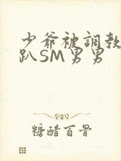 少爷被调教室跪趴SM男男