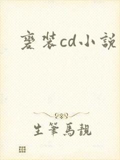 变装cd小说封面