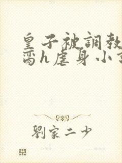 皇子被调教成禁脔h虐身小说最新章节