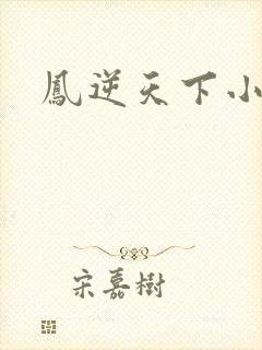 凤逆天下小说
