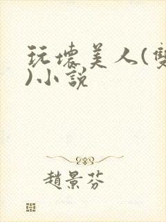 玩坏美人(双性)小说