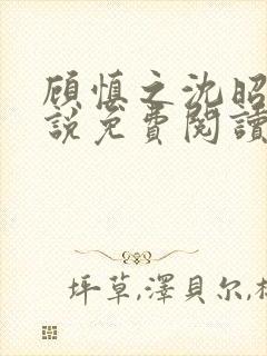 顾慎之沈昭凝小说免费阅读最新章节