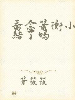 乔念萧衡小说完结了吗封面