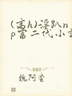 (高h)淫趴np富二代小说