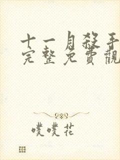 十一月杀手在线完整免费观看