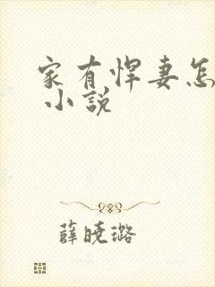 家有悍妻怎么破 小说