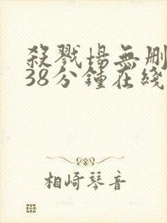 杀戮场无删减138分钟在线封面